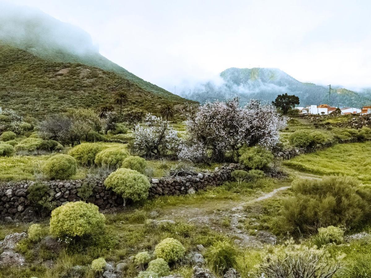 Luxury Villa In Nature With Swimming Pool Tenerife, Santiago Del Teide, With Sea And Mountain Views El Retamar Eksteriør bilde
